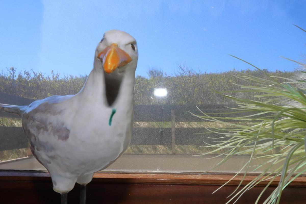 Wildlag Daire Westerland Dış mekan fotoğraf